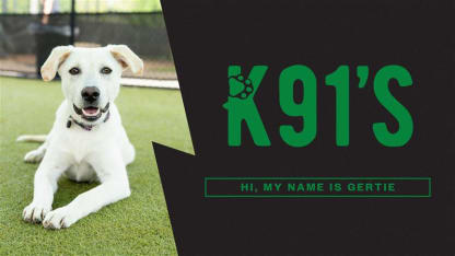 Gertie's adoption fees are covered