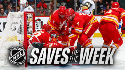Top Saves from Week 11 of the 2025-26 NHL Season