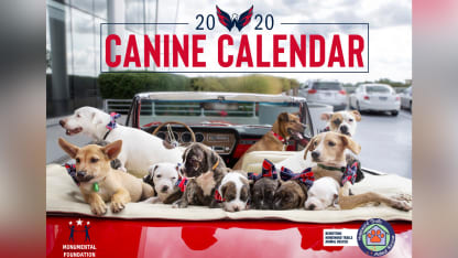 canine calendar 2019 MW