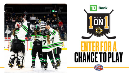 TD Bank Mini 1-on-1