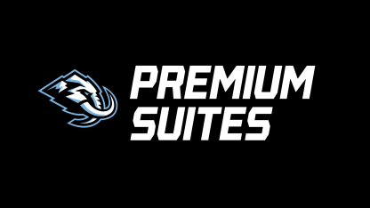 Premium Seating