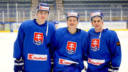 SlovakiaLeadershipGroup