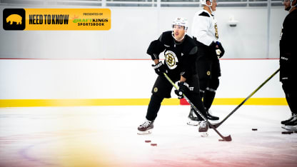 Need to Know: Bruins at Panthers