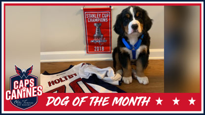 dog of the month MW june