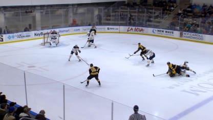 Bruins Fall to Sabres