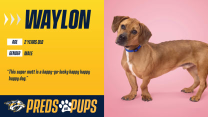 Preds & Pups: Waylon