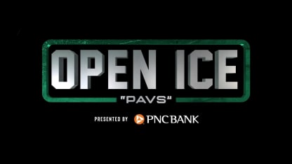 Open Ice: Pavs