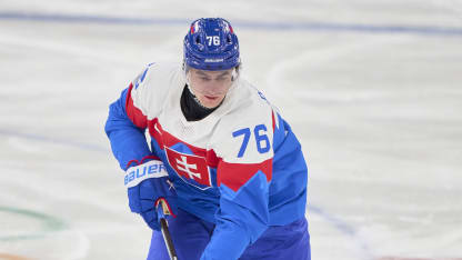 PospisilSlovakiaFeb17