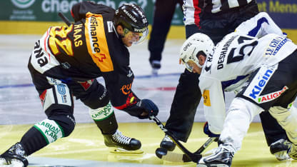 Haas_scbern1