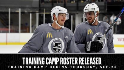 Training Camp copy