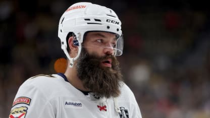 Radko Gudas FA capsule closeup