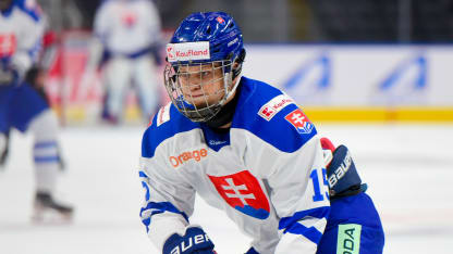 Andreas Straka #15 of Team Slovakia in action against Team Sweden during the preliminary round of the 2024 Hlinka Gretzky Cup at Rogers Place on August 05, 2024, in Edmonton, Alberta, Canada. (Photo by Leila Devlin/Getty Images)