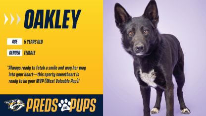 Preds & Pups: Oakley