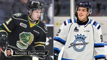 McMichaelLapierreDucharmeLNH