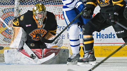 Daniel Vladar Providence Bruins