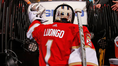 luongo retirement