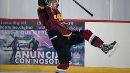 Cancún International Hockey League