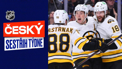 30.3: Český sestřih týdne