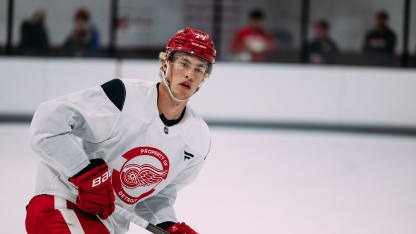 Never complacent, Edvinsson striving for more with Red Wings