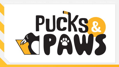 pucks and paws16x9