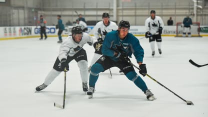 20160930-timo-meier-prospect-scrimmage-16x9