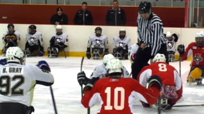 sled-hockey