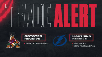 coyotes trade matt dumba to lightning 030824