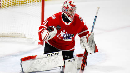 Goalies - North America