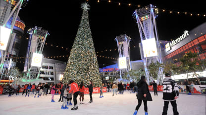 Screen Shot 2021-11-15 at 12.42.34 PM