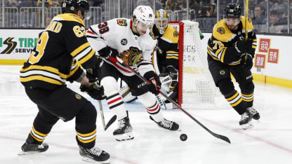 Bruins Hawks