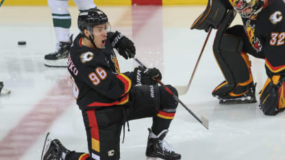 Photo Gallery - Flames vs. Wild 23.11.24