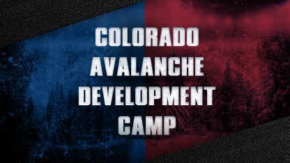 Avalanche Development Camp 16x9