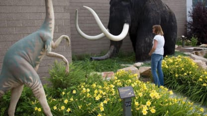 Utah Field House of Natural History State Park Museum