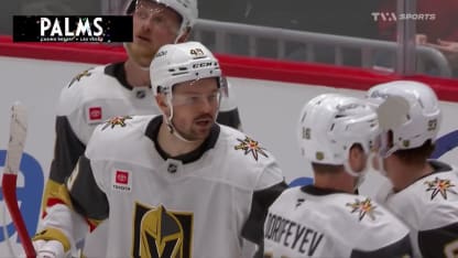 Hertl complète Dorofeyev en A.N.