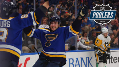 SNUGGERUD BADGE POOLERS