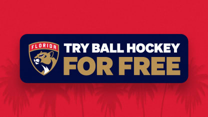 Hockey Programs - Off-Ice - Try Ball Hockey for Free