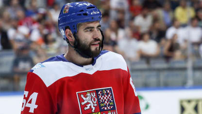 Roman Polak