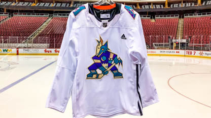 Coyotes Dbacks jersey