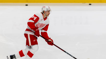 Detroit Red Wings defenseman William Lagesson (84) warms up before a NHL game between the Detroit Red Wings and the San Jose Sharks on November 18, 2024 at SAP Center at San Jose in San Jose, CA. (Photo by Matthew Huang/Icon Sportswire via Getty Images)