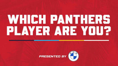 Which Panthers Player Are You?