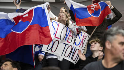 Slovakia Fans