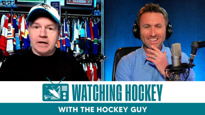 Watching Hockey: The Hockey Guy