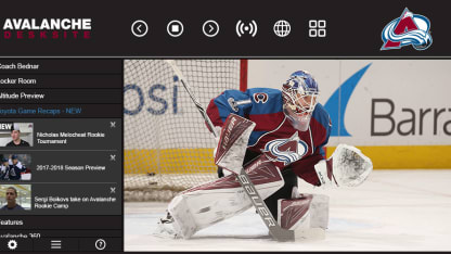 Avalanche DeskSite Screen shot Semyon Varlamov