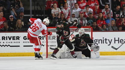 coyotes red wings recap 030824