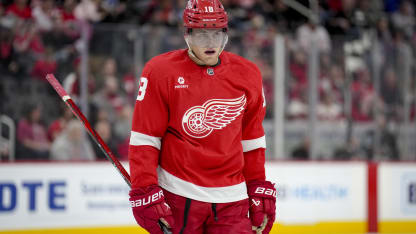 Red Wings : Copp sur la liste des blessés
