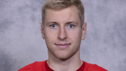 Detroit Red Wings Headshots
