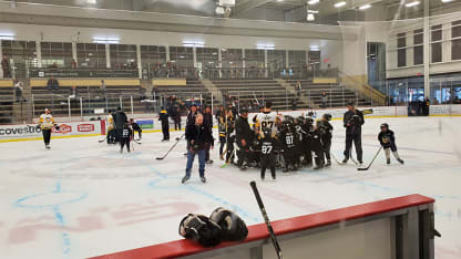 Crosby-Little-Penguins