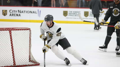 VGK Prospect Questionnaire: Matyas Sapovaliv