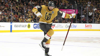 VGK_Theodore_HonorRoll