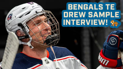 From the Jungle with Love! 🐅